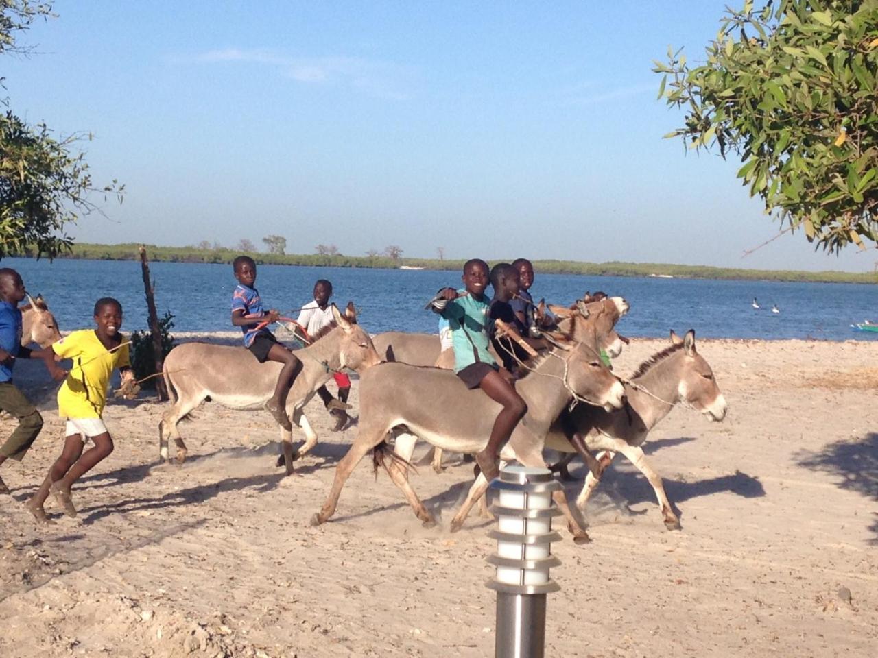 Terra Lodge Senegal M'Bour Luaran gambar