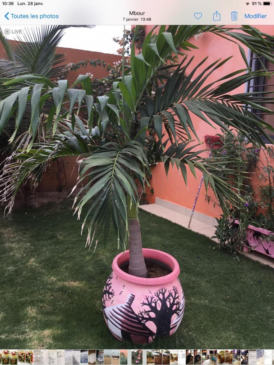 Terra Lodge Senegal M'Bour Luaran gambar